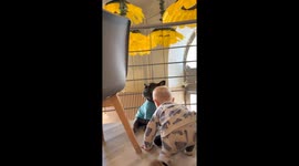 1 year old loves his Frenchie brother