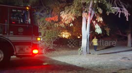 US, Los Angeles: Elysian Park LAFD Quickly Stops Small Brush Fire