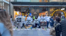 Vegans hold signs against animal cruelty in Pitt Street Mall