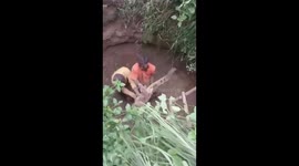Locals remove crocodile from ditch in their village after heavy rain