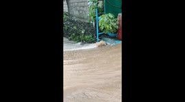 Children play in flooded streets during typhoon in the Philippines