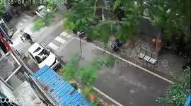 Tree falls onto school car park narrowly missing children in India