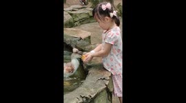 Sweet Moment: Child Gently Feeds Duck From Her Hand