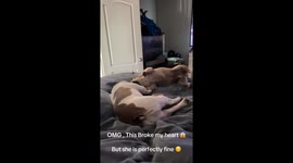 Sissy Goes Overboard the Bed