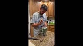 Skull from Cache Valley Giant Pumpkins