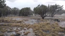 Monsoon thundershowers in Vernon, Arizona, USA