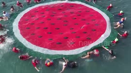 Türkiye: Istanbul hosts massive maritime demonstration in solidarity with Gaza amid Israeli genocide and blockade (2)