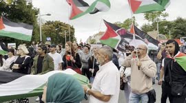 Hundreds gather in Vienna to show solidarity with Palestine