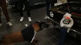 Dog goes nuts barking at dressed-up skeleton with flashing eyes