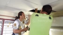 Retiree shocked at finding snake hidden in bedroom ceiling