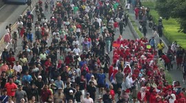 Indonesia: Orang Utan Day Commemoration in Indonesia