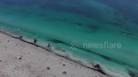 Smuggling migrants by sea from the Libyan coast to Europe5/5
