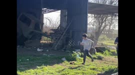 Backyard pig chase sends siblings running, baby left behind in viral 2 million views