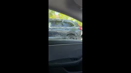 Dachshund Window Smudge Crime vs Criminal