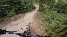 Bikers startled by wild bear encounter on muddy slope in Whistler Mountain, British Columbia, Canada