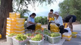 China: E-commerce expands market access for Chinese farmers