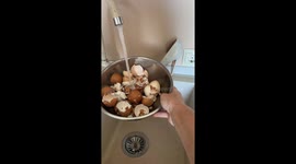 Zero-Waste Eco Fertilizer Hack | Turning Eggshells into Planet-Friendly Plant Food