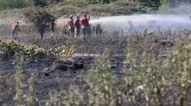 Firefighters tackle grassland blaze on Woolwich Common on last day of Bank holiday