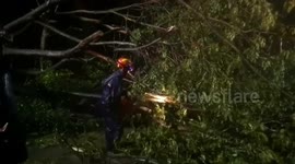 China: Firefighters clear debris to ensure smooth traffic in Sanya City