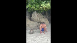 Man Sits With Monkeys on the Beach