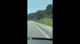 Police Mannequin on Speed Patrol