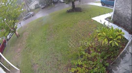 Security Camera Catches Lightning Striking Tree