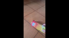 Toy Snake Startles Cat