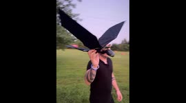 Remote Control Dragon Flies Into Sunset