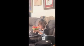 Pug rests on boy’s head while he eats watermelon in Phoenix, Arizona, USA