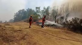 Spain: Spanish Military Joins Firefighting Efforts in León