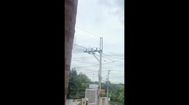 Resident removes huge bee hive from inside air conditioning pipe