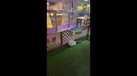 Adorable Bunnies Huddling for Coziness