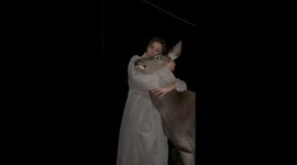 Heartwarming moment: Woman shows unconditional love to a deer under the calm night sky