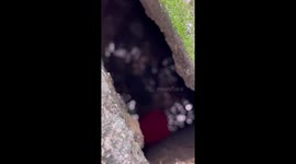 Passersby help woman retrieve wedding ring that fell in drain