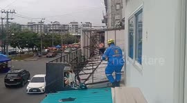 Rescue team saves pregnant cat stranded on shop roof