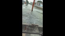 Canal dredger scoops up monitor lizard startling his colleagues