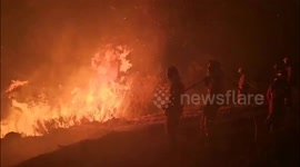 Spain battles wildfires as burned area exceeds 407,000 hectares