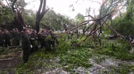 China: China's Hainan makes gradual recovery after Typhoon Kajiki havoc