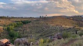 Biking through fire-prevented trails in Pike National Forest, Colorado