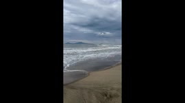 Huge waves and stormy skies at An Bang Beach in Hội An, Vietnam