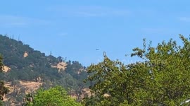 Helicopters aid firefighters during Pickett Fire in Calistoga, California