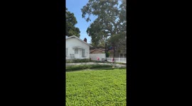 Florida Man Swings on Overly Tall Swing