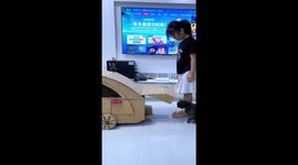 Cardboard car adventure with girl, cat, and dog in Jiangsu, China