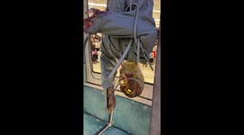 Electrocuted Zombie Animatronic: Shockingly Creepy Halloween Decoration!