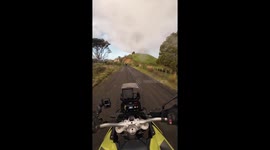 Cow blocks motorcyclist’s path on country road in Auckland, New Zealand