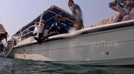 Oman: Para-athlete diver Faisal Jawad steals the show on day 2 of Musandam International Diving Festival