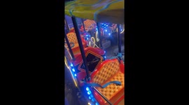 Dog Relaxes On Carnival Ride