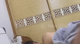 Cat keeps turning light on and off bedroom prank  in Zhejiang, China