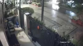 Typhoon topples trees and batters Jiangsu, China