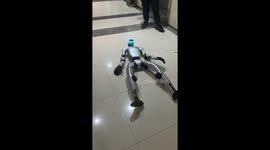 Robot struggles to walk and keeps falling in Henan, China
